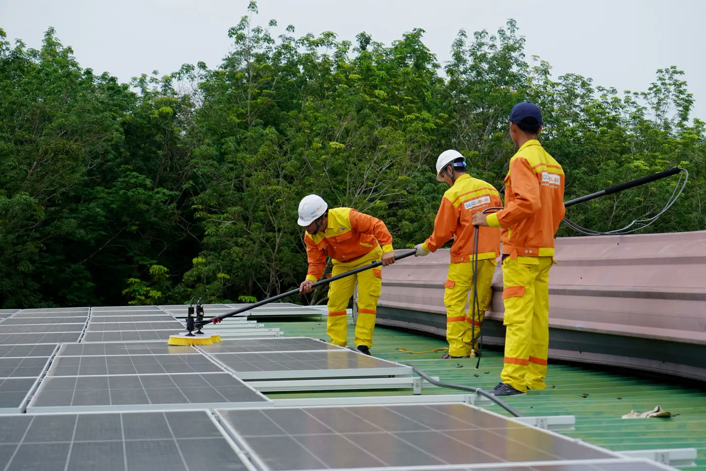 Mantenimiento y limpieza de placas solares en Madrid: técnico limpiando módulos fotovoltaicos en cubierta